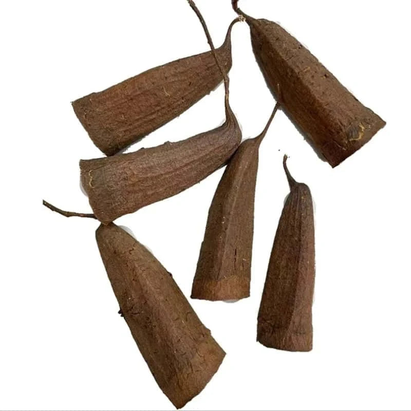 Jujube frø til akvarium