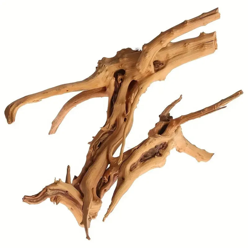 Spider Wood | Racines Naturelles