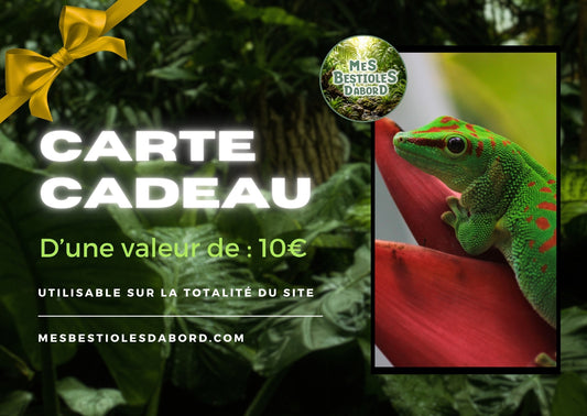 Carte Cadeau – L’idée parfaite pour les passionnés de nature & terrarium