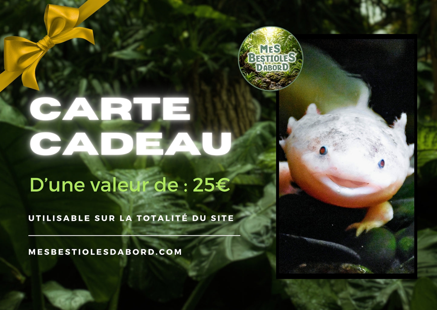 Carte Cadeau – L’idée parfaite pour les passionnés de nature & terrarium