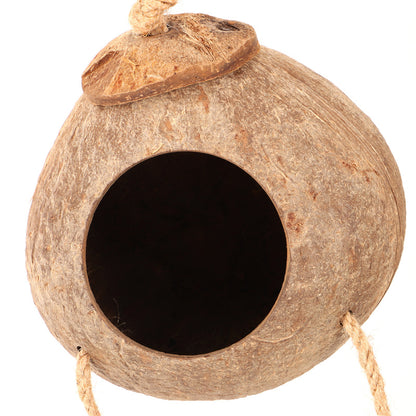 Cachette Noix de Coco avec Échelle – Accessoire Terrarium pour Reptiles et Geckos