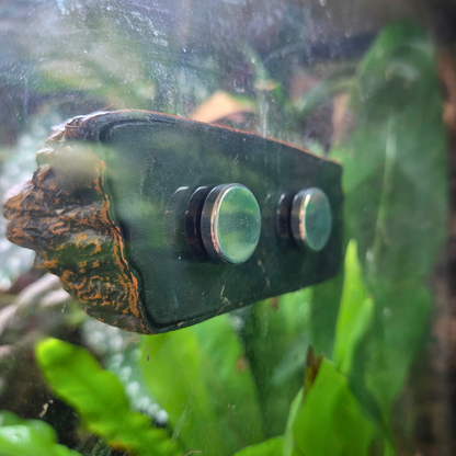 Mangeoire Aspect Roche Naturelle | Pratique & Esthétique pour Terrariums