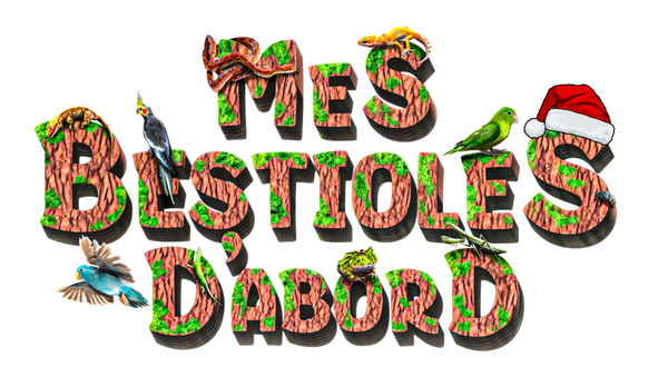 Mes bestioles d'abord