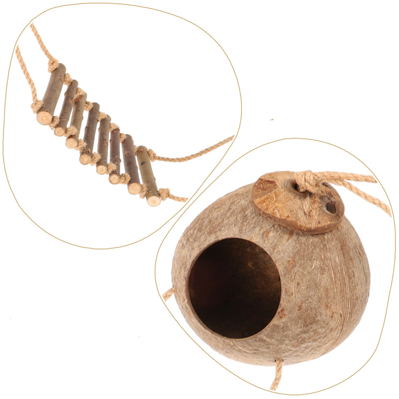 Cachette Noix de Coco avec Échelle – Accessoire Terrarium pour Reptiles et Geckos