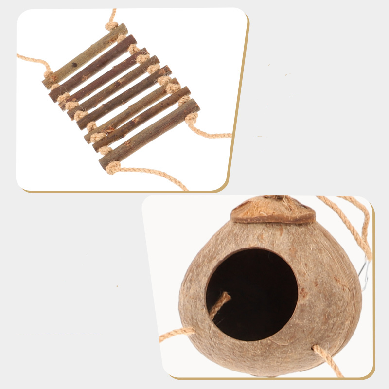 Cachette Noix de Coco avec Échelle – Accessoire Terrarium pour Reptiles et Geckos