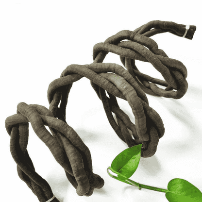 Liane artificielle 100cm | Déco terrarium