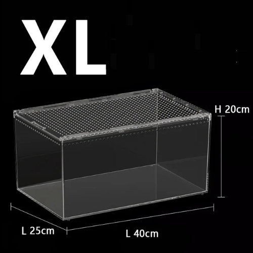 Terrarium acrylique empilable