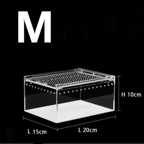 Terrarium acrylique empilable