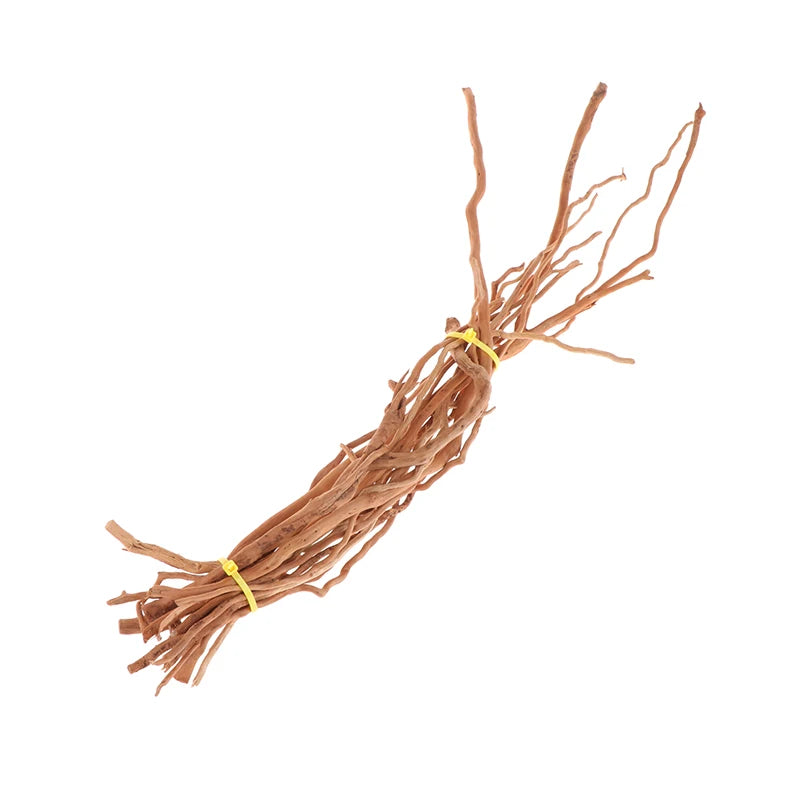 Fagot de Racines Longues Naturelles Aquarium & Terrarium