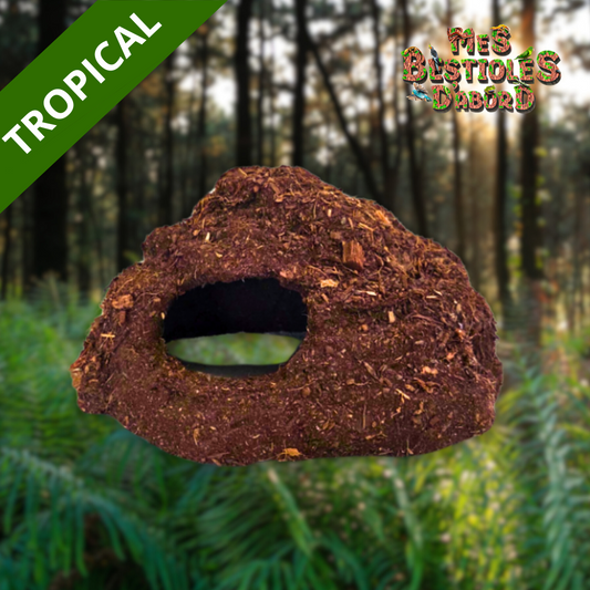 Grotte tropicale artisanale