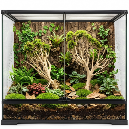 terrarium tropical avec Racine Naturelle "Bonsaï"