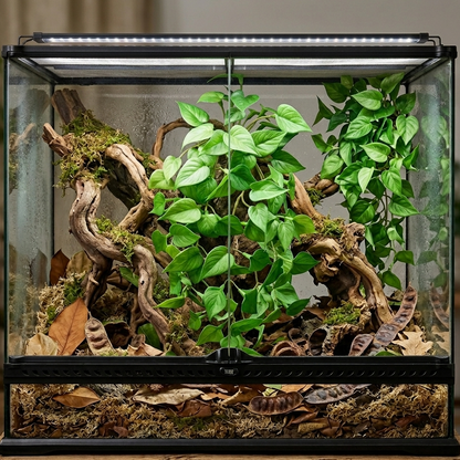 terrarium tropical avec Plante verte artificiel réaliste pour terrarium