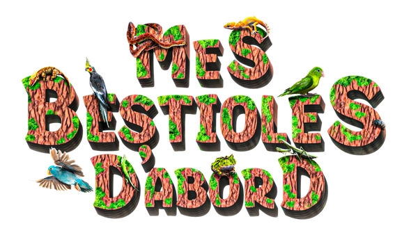 Mes bestioles d'abord