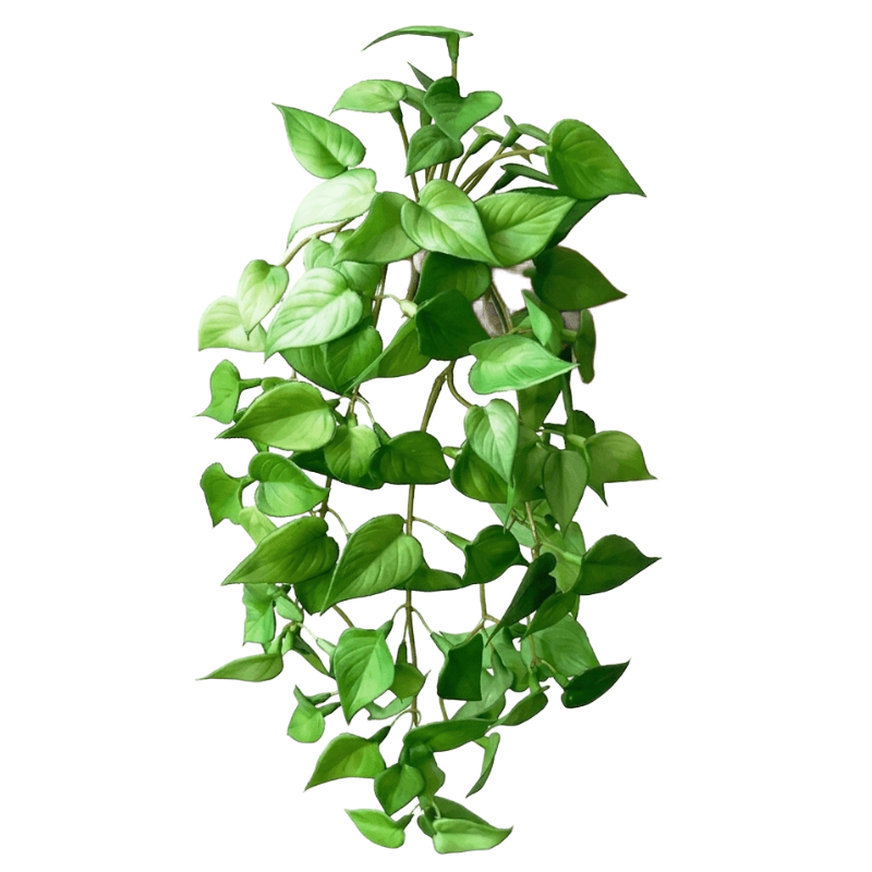 Plante verte artificiel réaliste pour terrarium