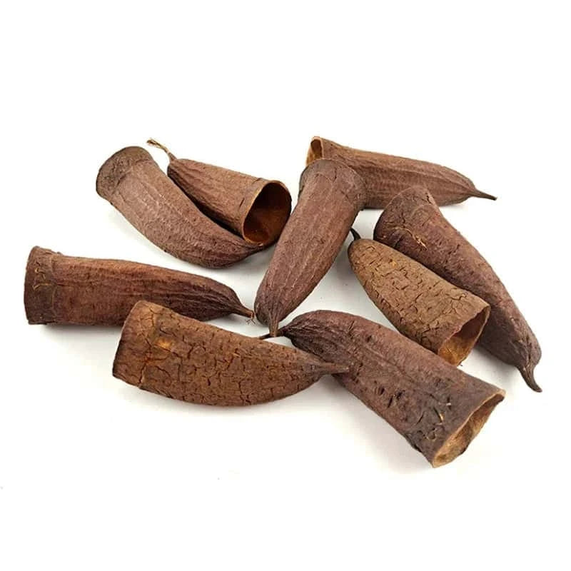 Graine de Jujube pour Aquarium