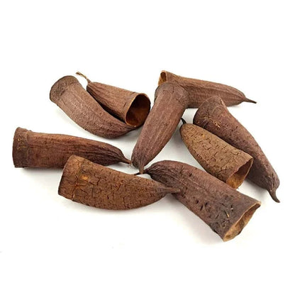 Graine de Jujube pour Aquarium