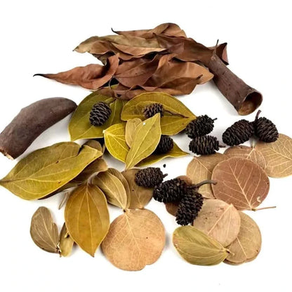 Mélange de Feuilles Naturelles pour Aquarium et Terrarium