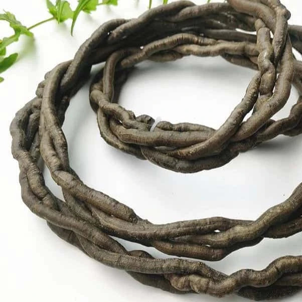 Liane artificielle 100cm | Déco terrarium