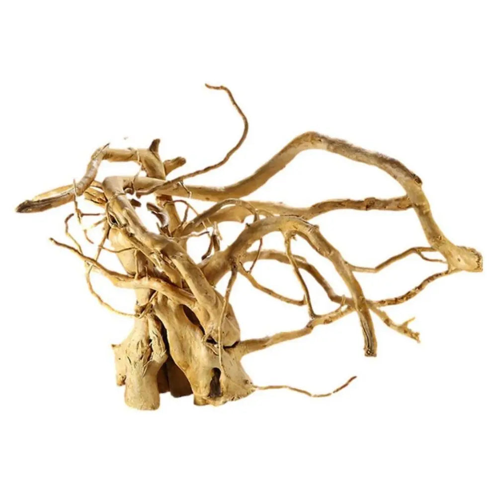 Spider Wood | Racines Naturelles