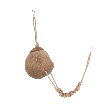 Cachette Noix de Coco avec Échelle – Accessoire Terrarium pour Reptiles et Geckos