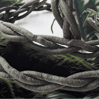 Liane artificielle 100cm | Déco terrarium