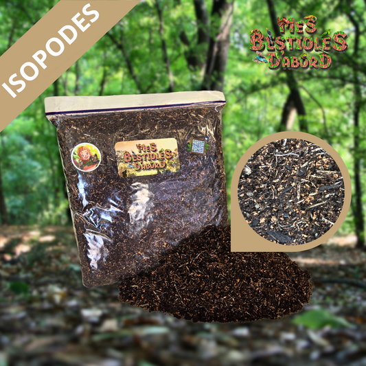 Substrat pour Cloporte & Iules by Mes Bestioles d’Abord