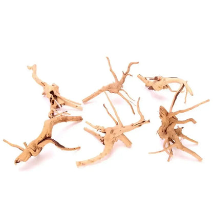 Spider Wood | Racines Naturelles