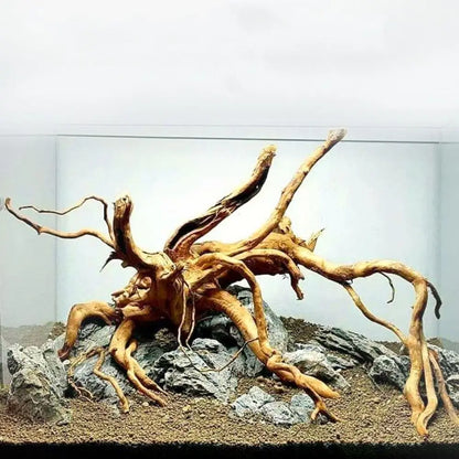 Spider Wood | Racines Naturelles