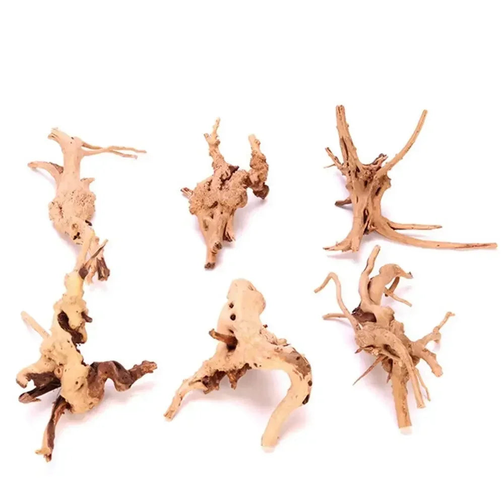 Spider Wood | Racines Naturelles