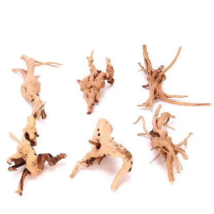 Spider Wood | Racines Naturelles