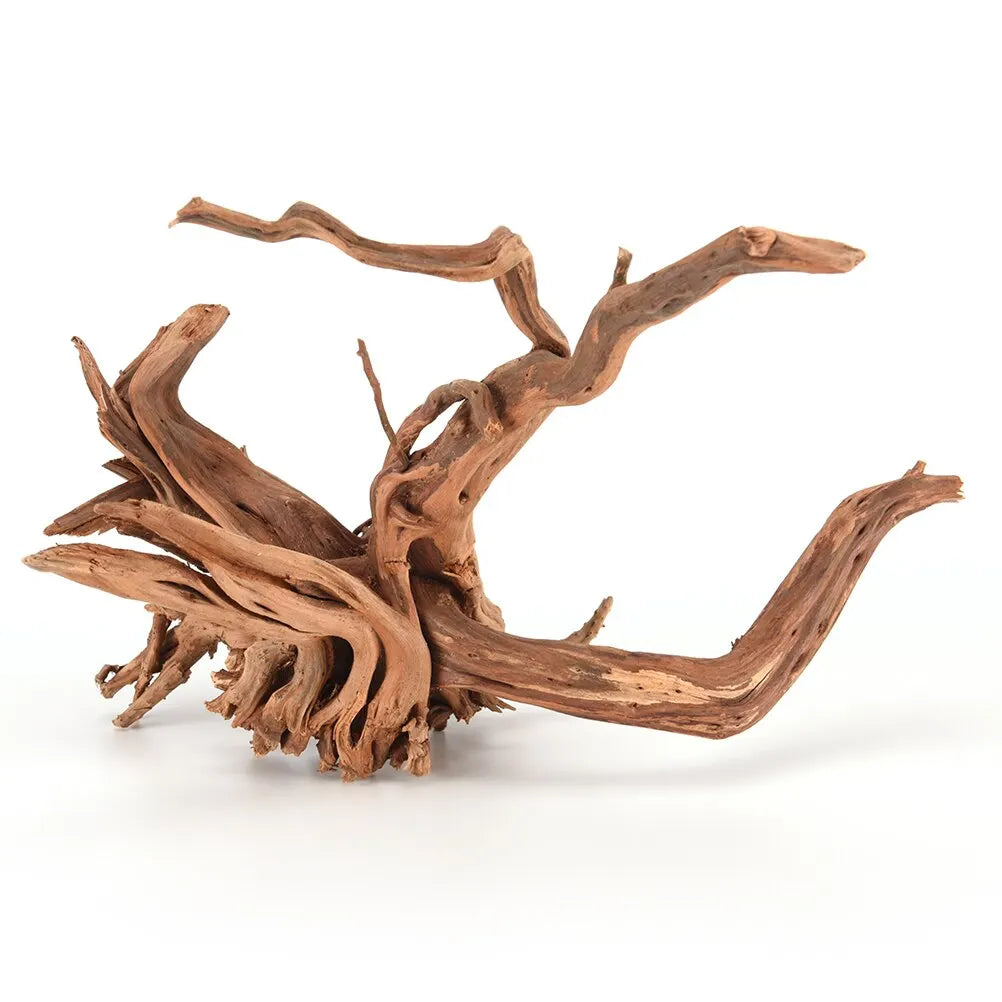 Spider Wood | Racines Naturelles