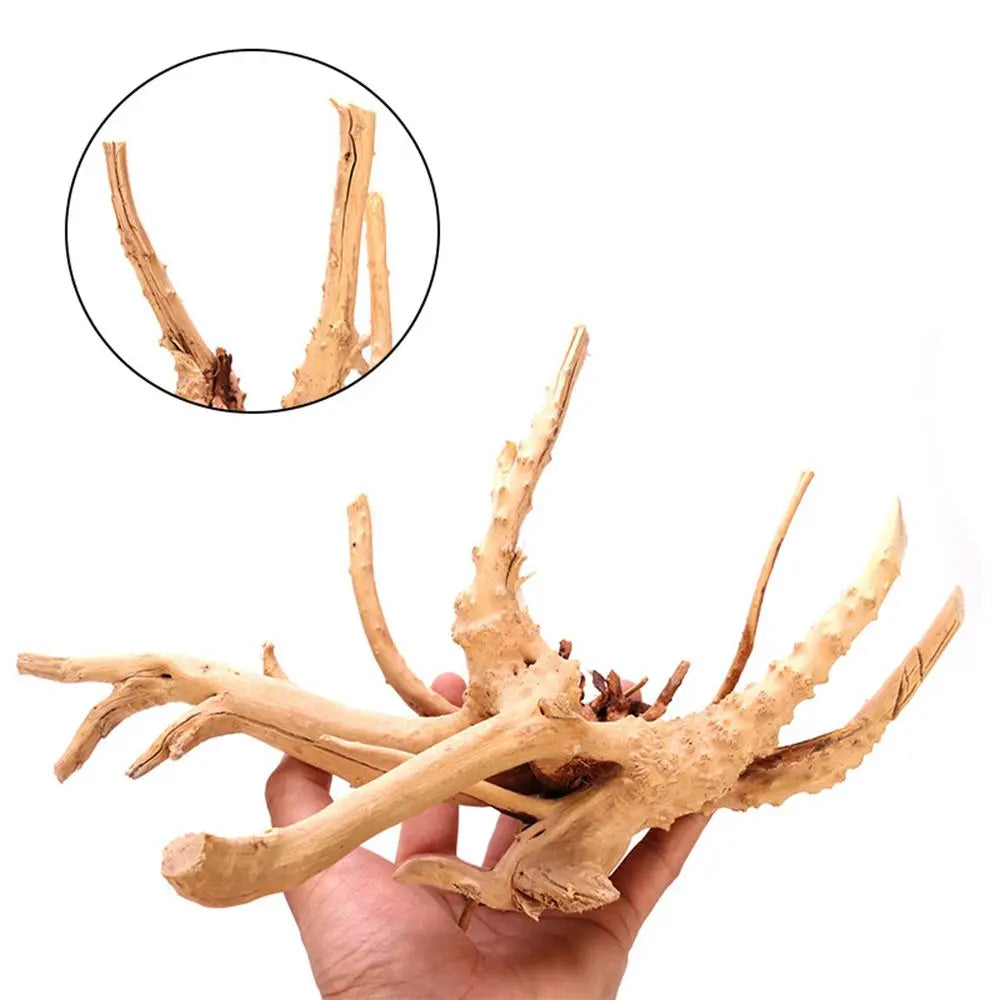 Spider Wood | Racines Naturelles