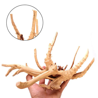 Spider Wood | Racines Naturelles
